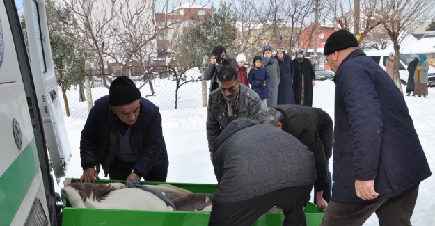 Isınmak isterken can verdiler: 2 ölü