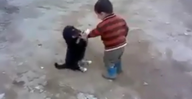 Minik çocukla yavru köpeğin kavgası