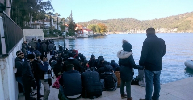 Son bir haftada 239 göçmen yakalandı