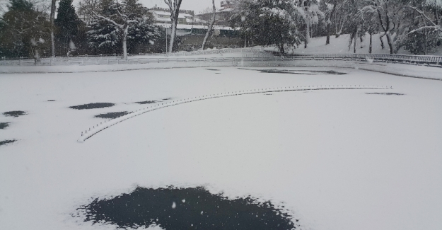 Yıldız Parkında gölet buz tuttu