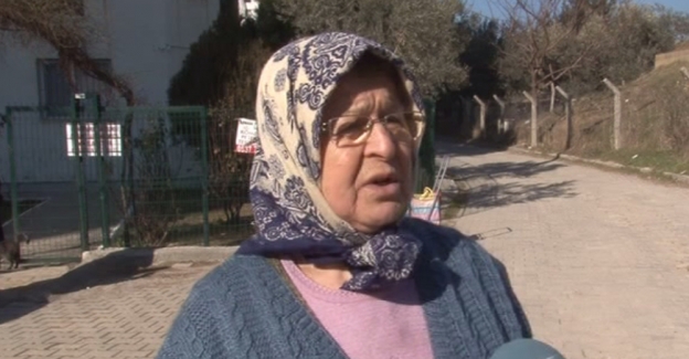 Saldırıya uğrayan hayvansever kadın konuştu