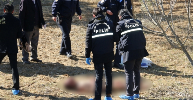 Tek kelimeyle dehşet