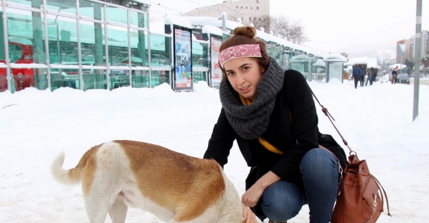 Yemeğini açlıktan bitkin düşen köpeğe verdi