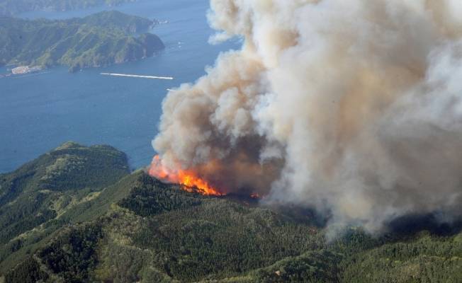 Japonya’da orman yangını