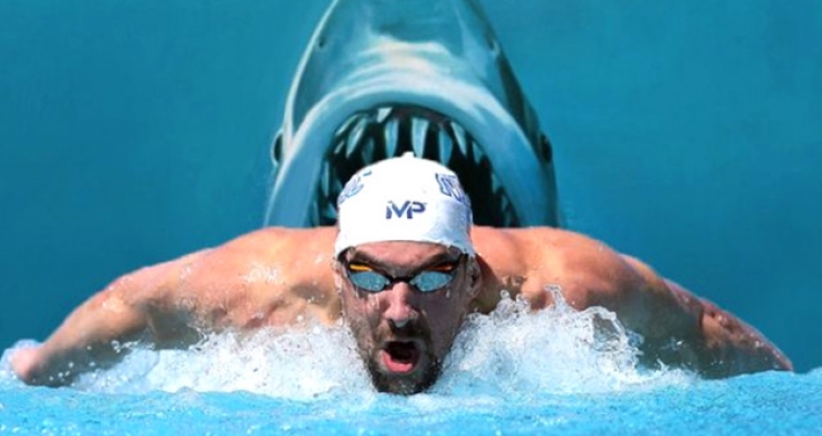 Dünyanın 1 numaralı yüzücüsü Phelps, köpek balığıyla yarışacak