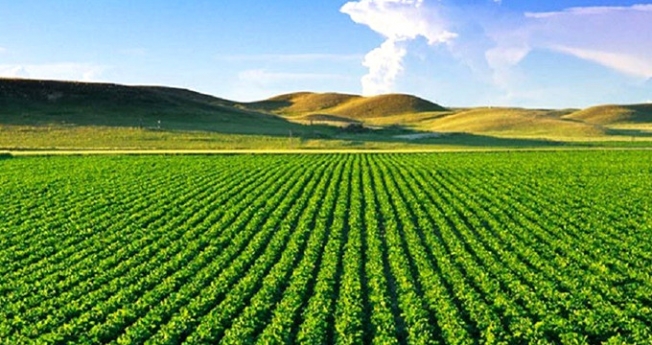Tarım sektörüne arazi bankacılığı modeli geliyor