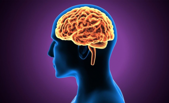 Aşırı kilo zekadan çalıyor