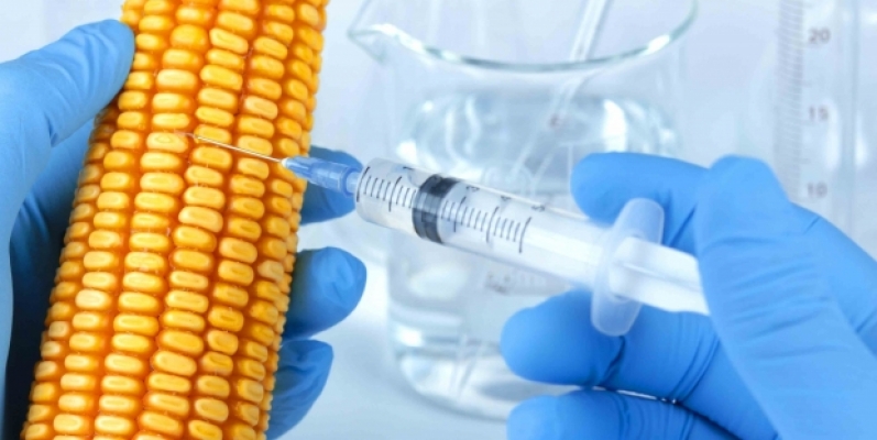 İthal edilen GDO'lu ürünlerin sayısını Bakanlık bile bilmiyor