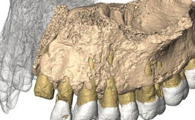 Afrika dışındaki en eski insan fosili bulundu!