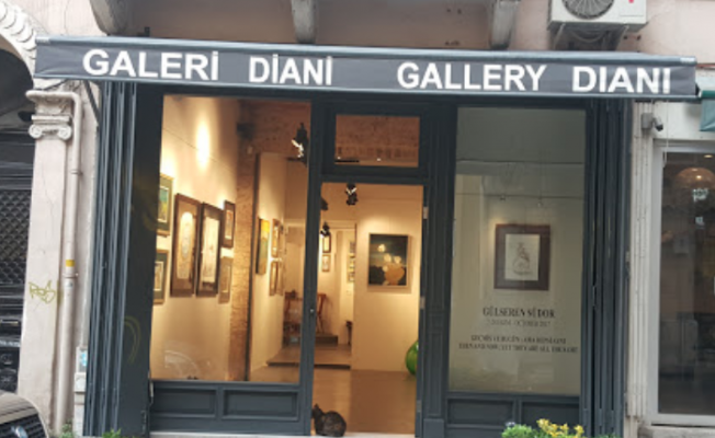 Galeri Diani nedir?