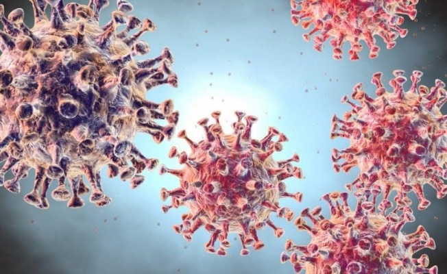 Koronavirüs Sözlüğü: Hangi terim ne anlama geliyor?