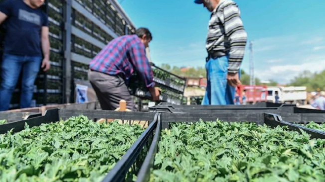 Ankara Büyükşehir Belediyesi 25 ilçede çiftçiye destek verecek