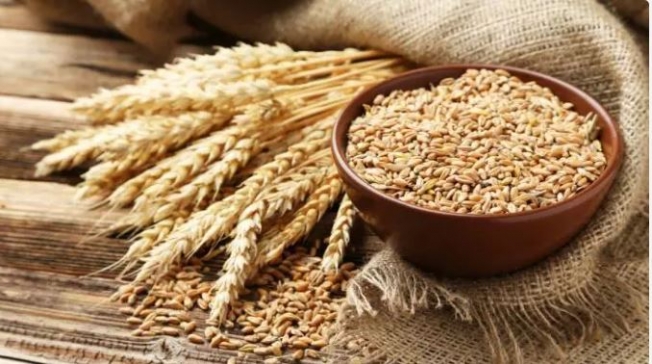 Dünyaya 10 hafta yetecek buğday stoğu kaldı iddiası!