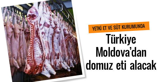 Türkiye 500 ton domuz eti ithal edecek!