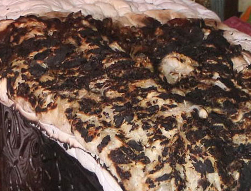 Biriktirdiği 28 bin lirası yastıkla birlikte kül oldu